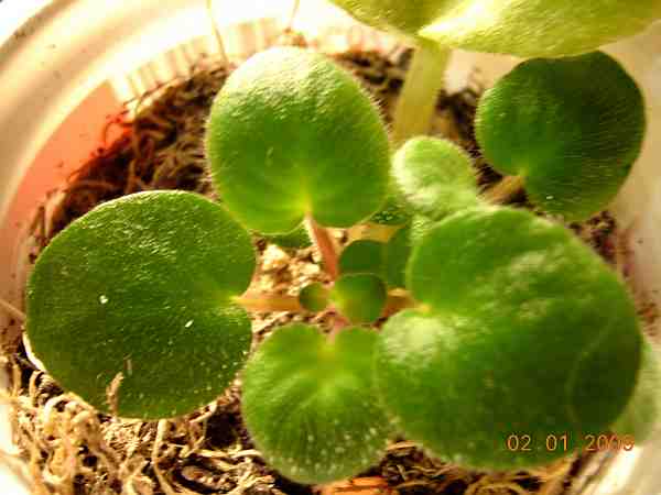 DSCN32880012.JPG