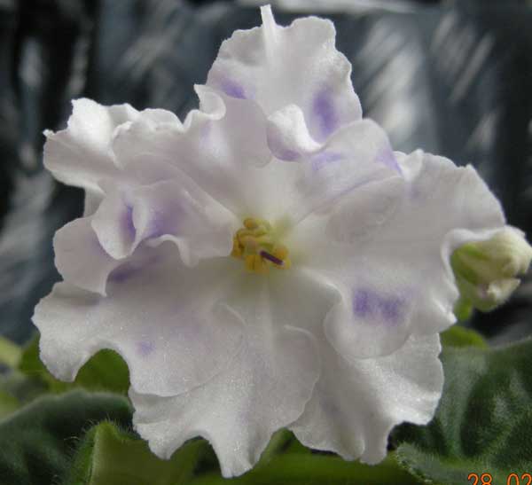 DSCN3393.jpg