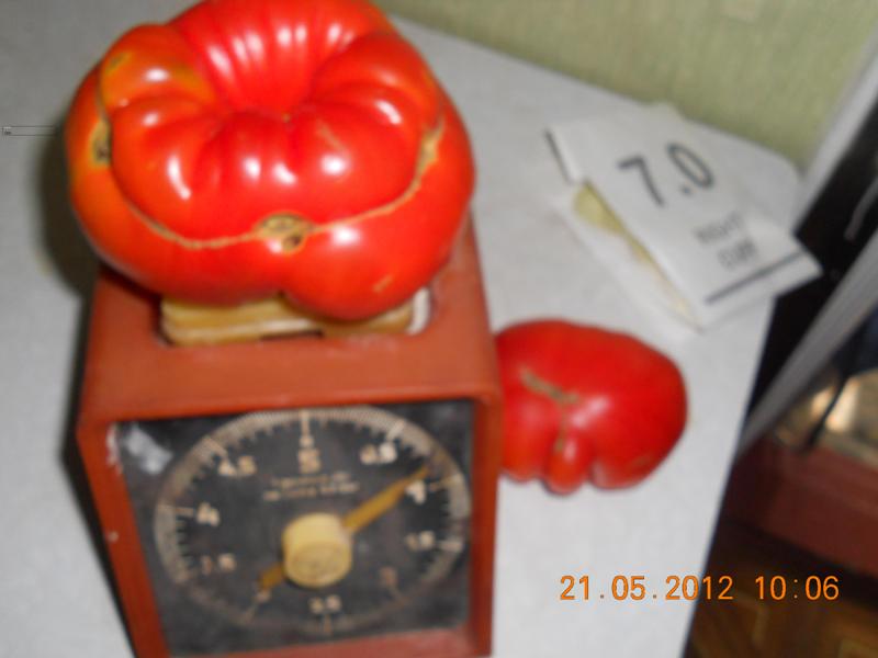 DSCN3710 Помидор на весах.jpg