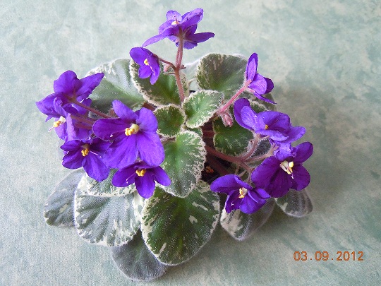 DSCN4622.JPG