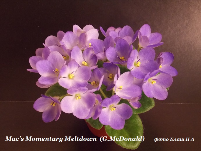 DSCN5189.JPG