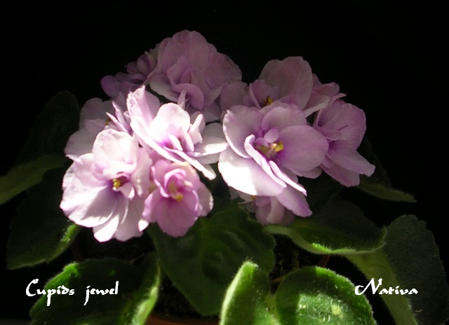 DSCN5692.JPG