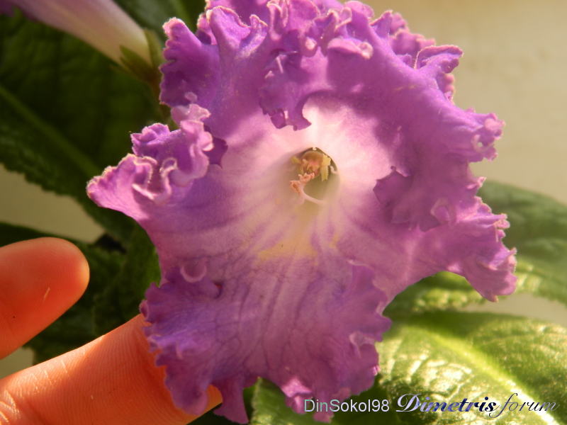 DSCN6025.JPG