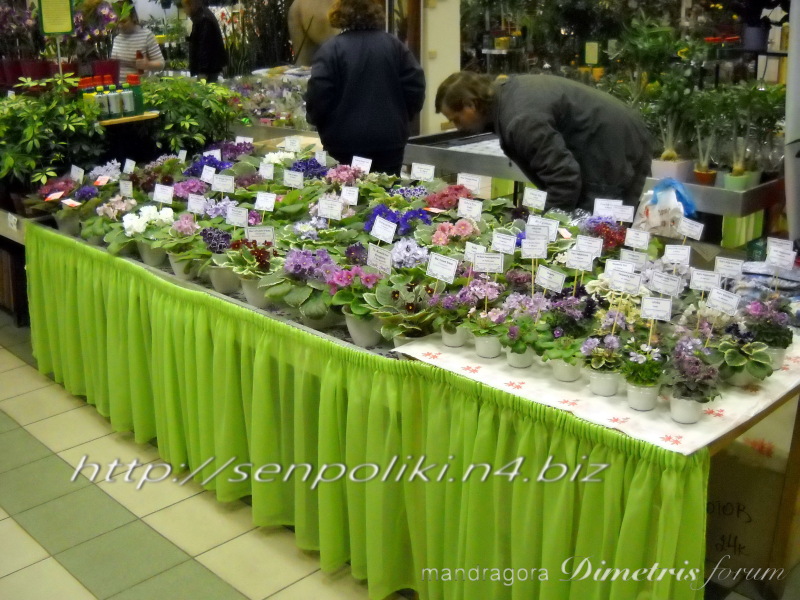 DSCN8308.jpg