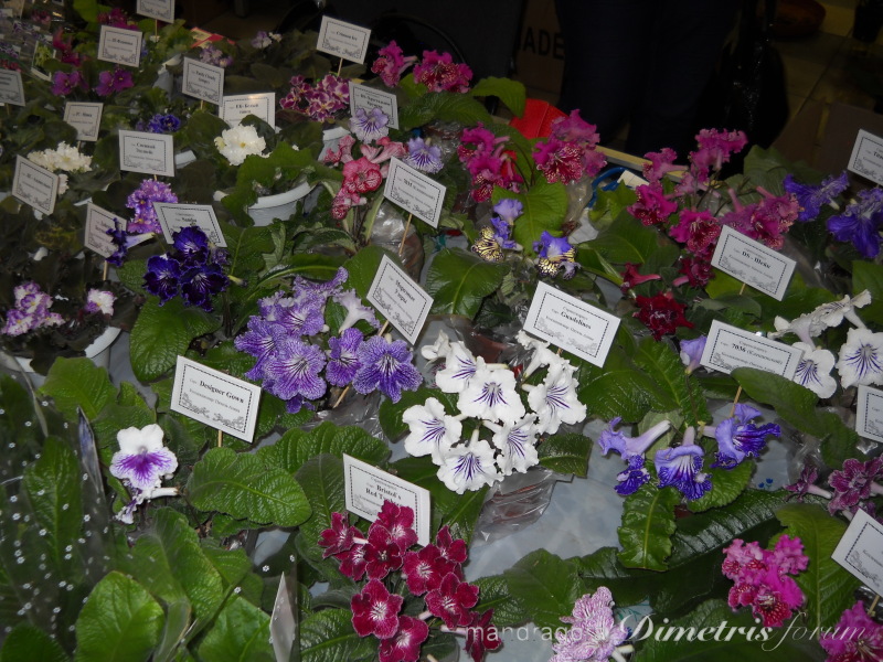 DSCN8313.jpg
