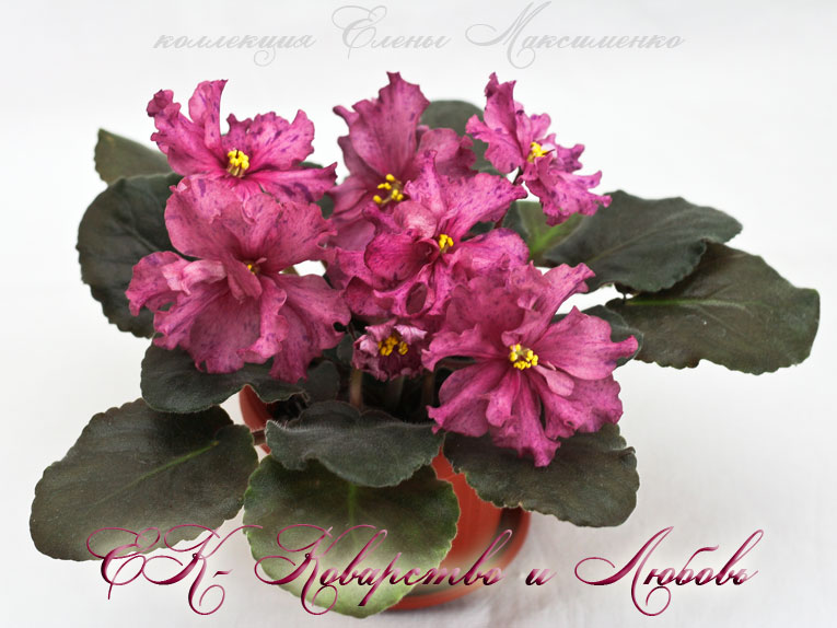 ek-kovarstvo-i-lyubov.jpg