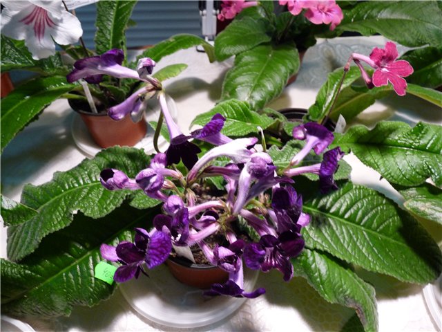 f5bd88cd221a.jpg