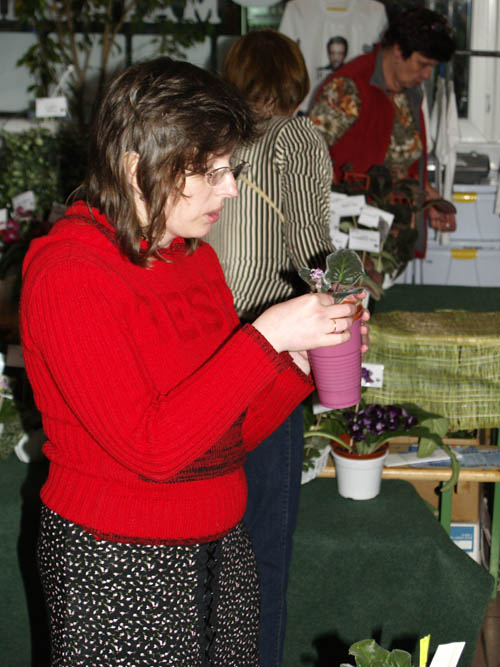 galia_6143916.jpg