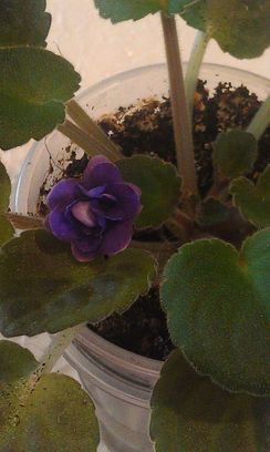 IMAG0627.jpg