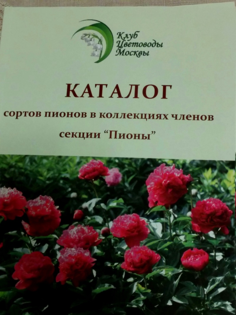 IMG_20150624_165214.jpg