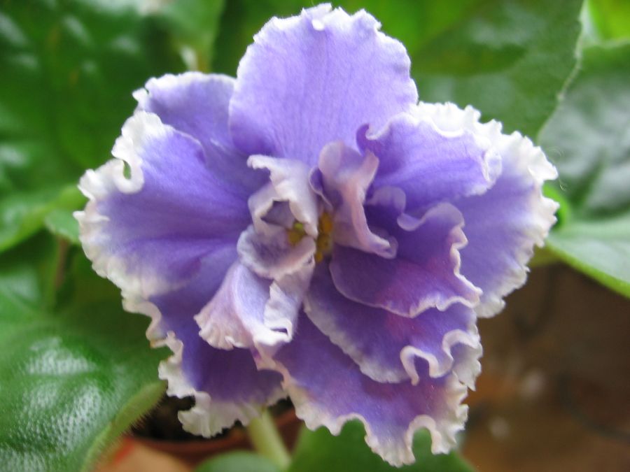 Misty Cloud_6674.jpg