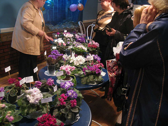 oksana-stolik.jpg