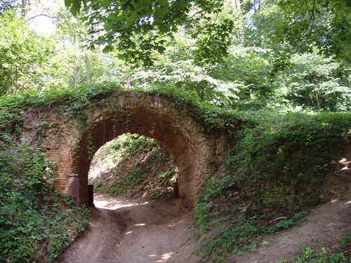 P8050131.jpg