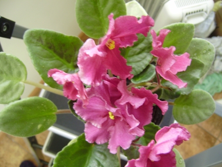 PB140236.JPG