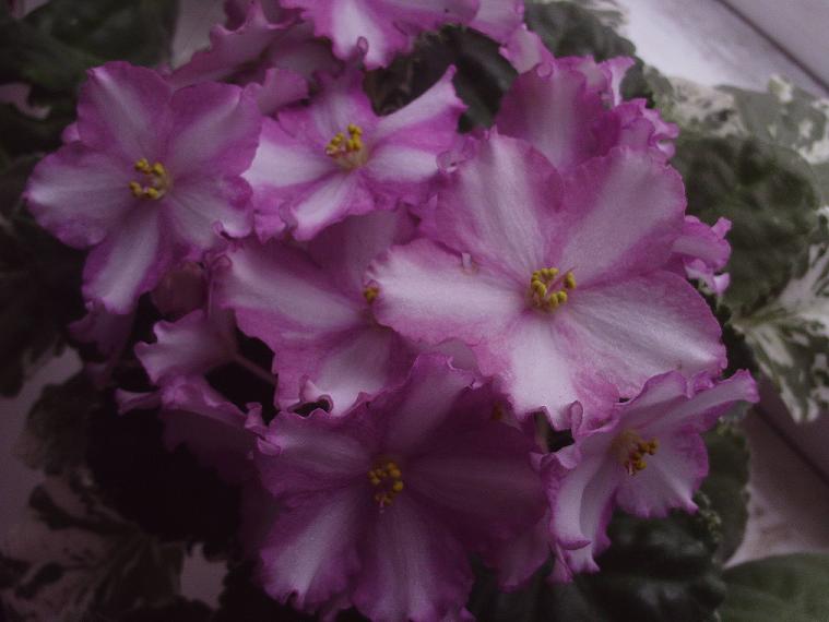 PHOT1524.JPG
