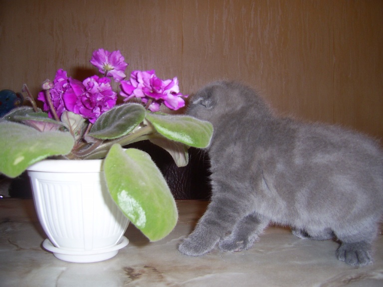 PIC_0036.JPG