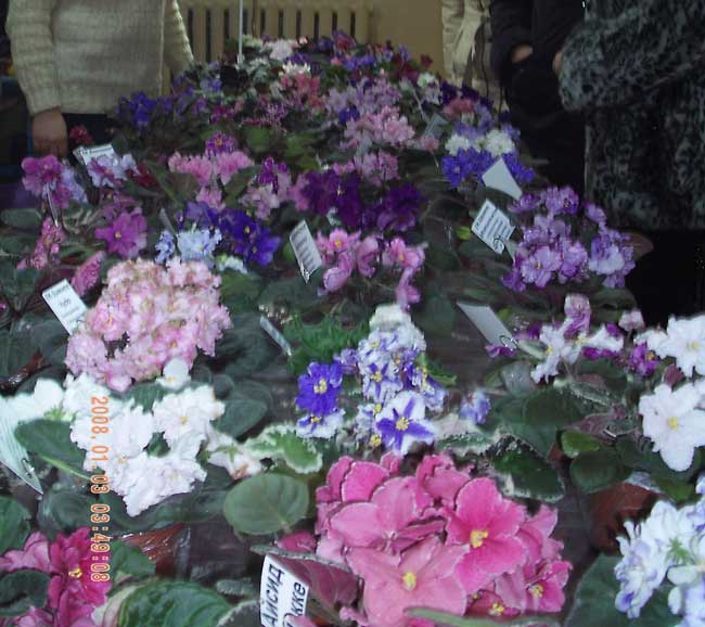 PICT0012.jpg