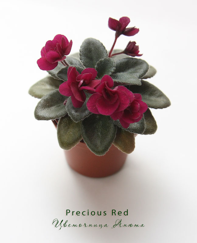 Precious-Red.jpg