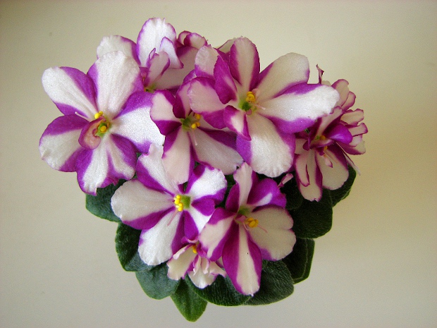 Rob's Kid Weezy4.JPG