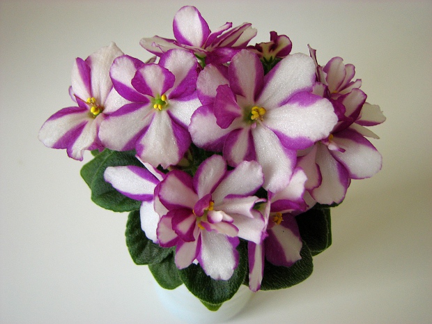 Rob's Kid Weezy6.JPG