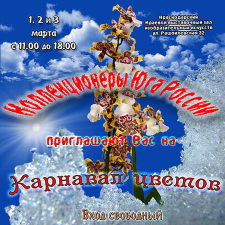 vst2013mart_.jpg
