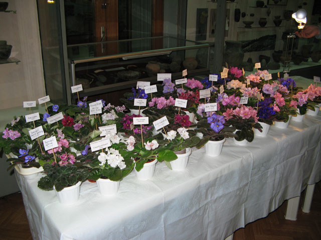 Vyst-10-004.jpg