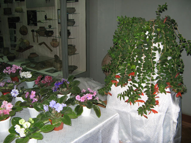 Vyst-10-019.jpg