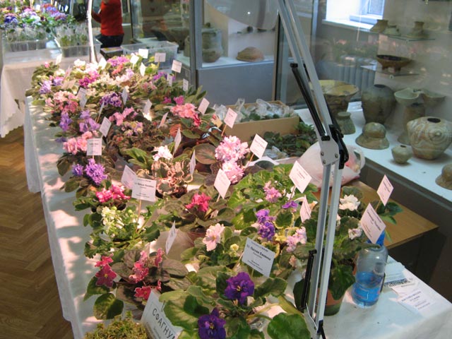 Vyst-10-043.jpg