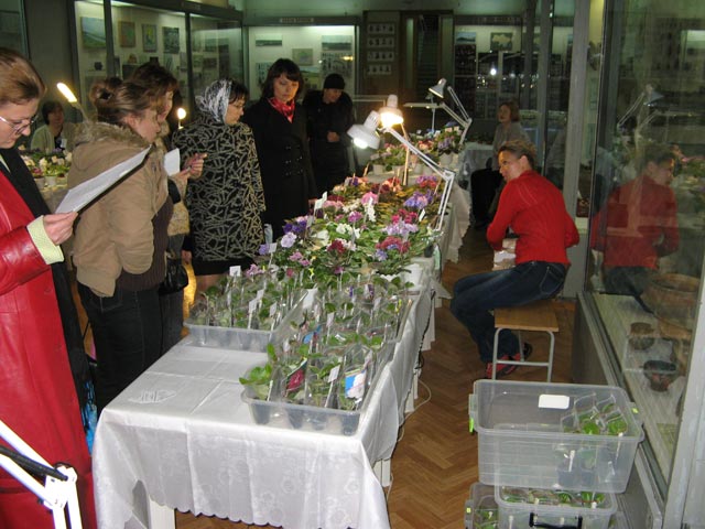 Vyst-10-085.jpg