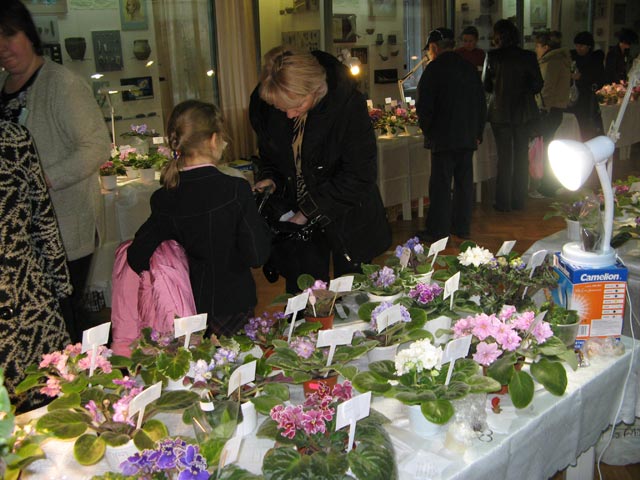 Vyst-10-091.jpg