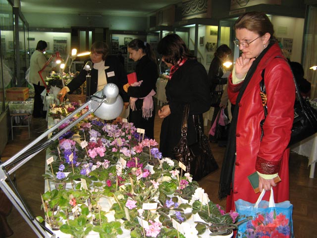 Vyst-10-094.jpg