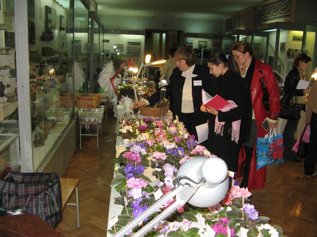 Vyst-10-096.jpg