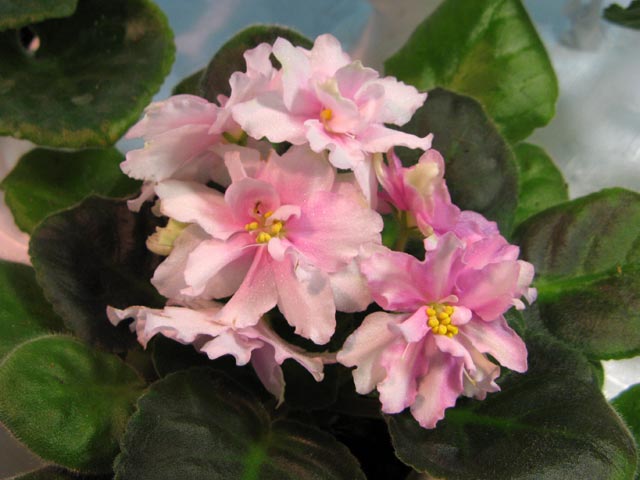 Vyst-10_3-025.jpg