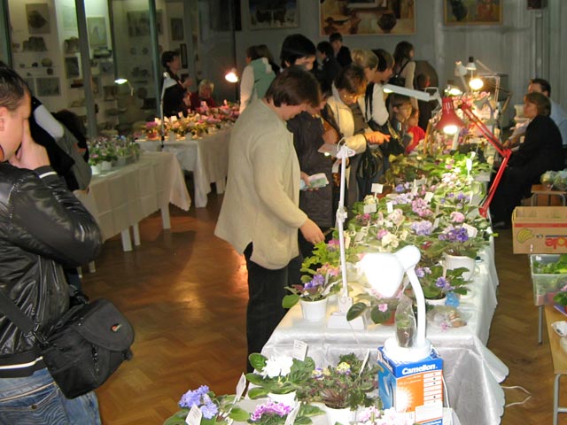 Vyst-10_3-055.jpg