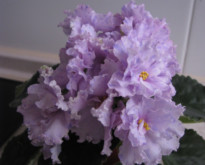 YeK-Fantasticheskiy Son (2).JPG